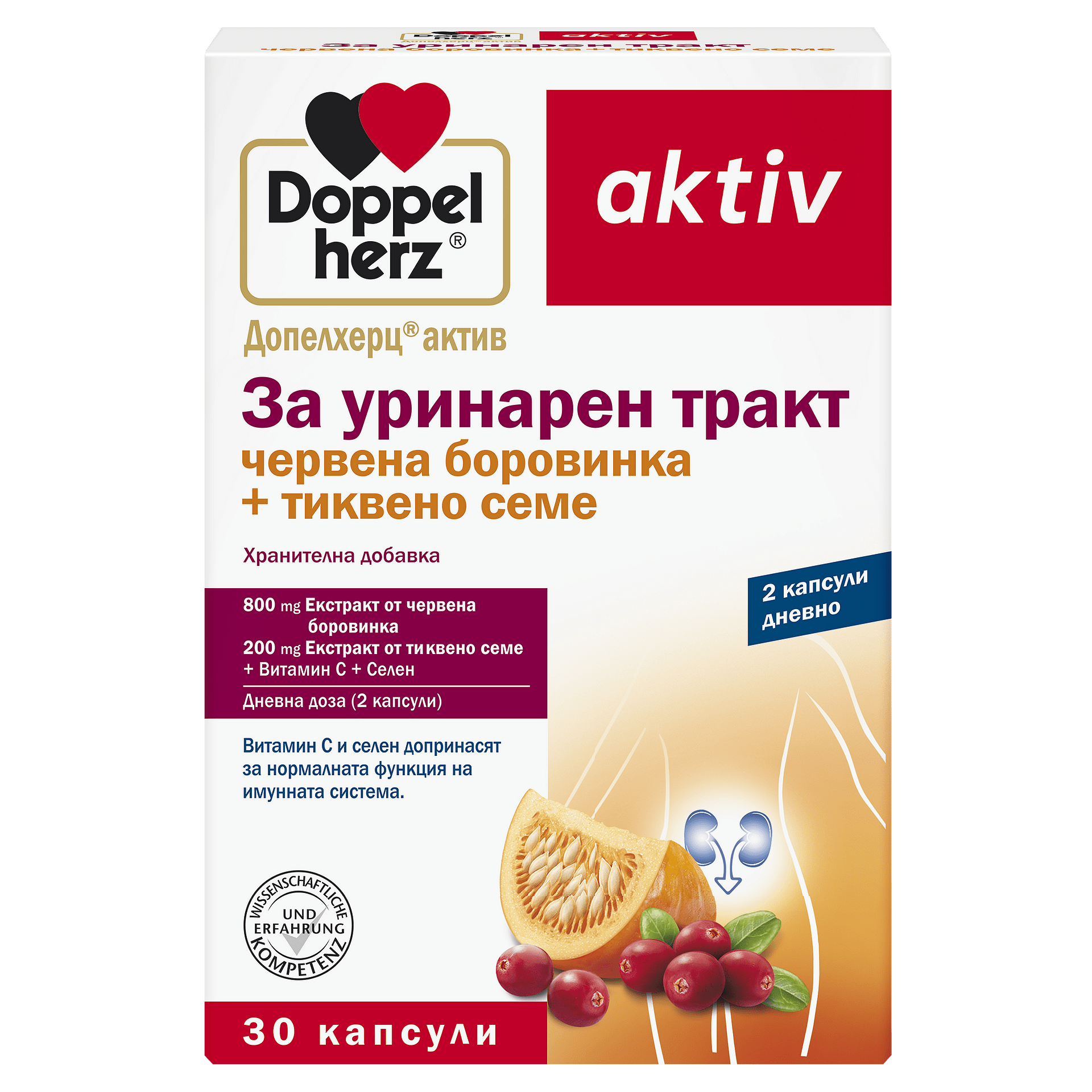 Допелхерц Актив за Уринарен тракт капсули x30 (Doppelherz)